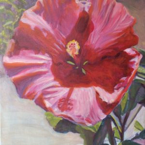 Narcissus by Kim Cesaretti