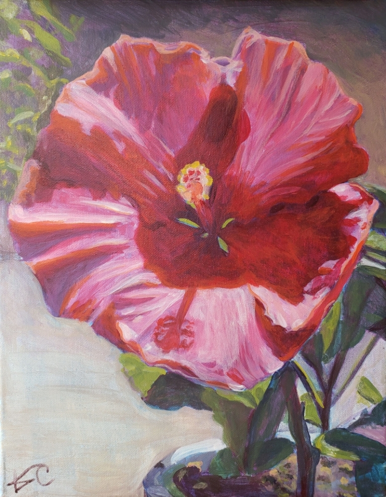Narcissus by Kim Cesaretti
